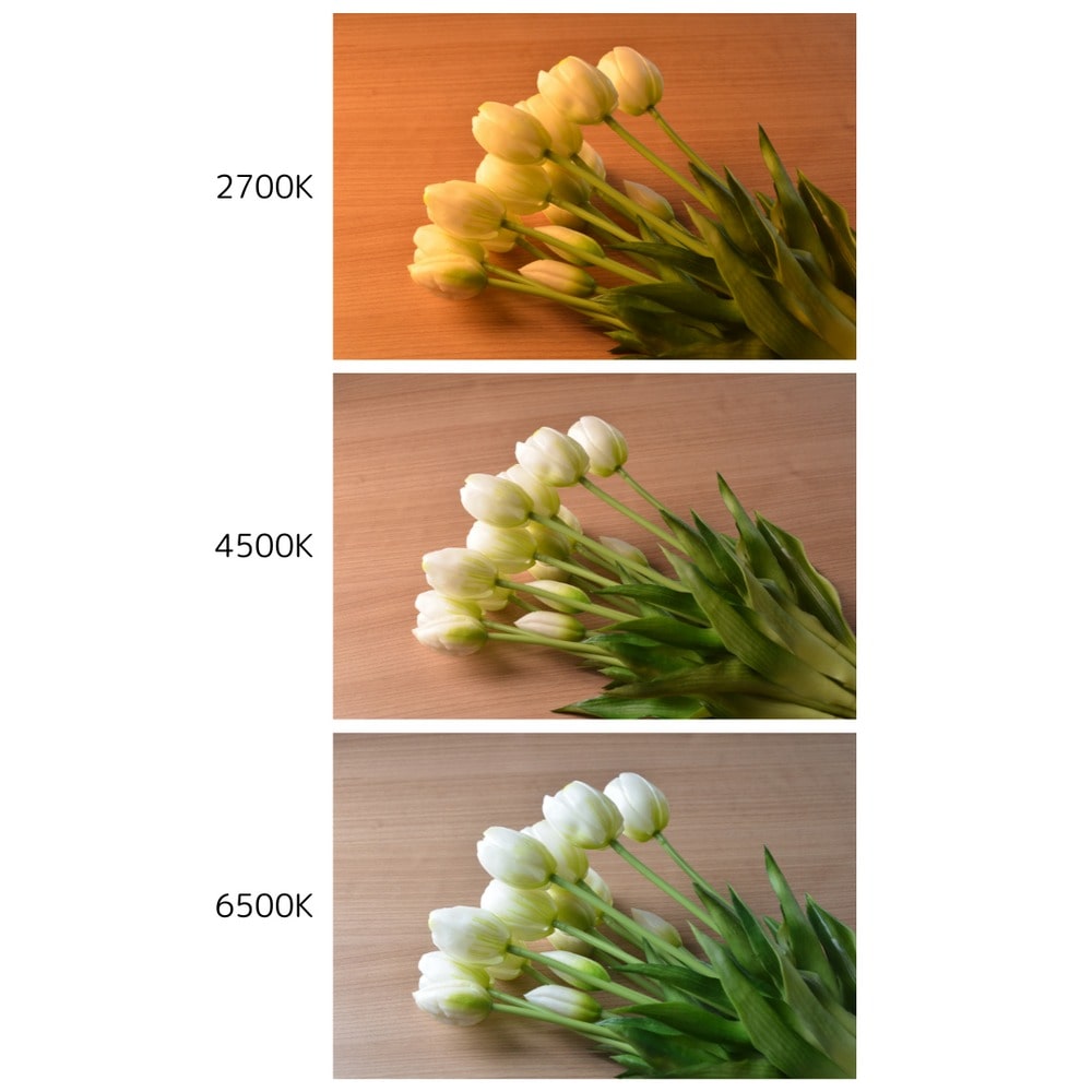 PROPET(プロペット) キャスター付LEDパネル 2700～6500K 30x120cm FB-1230A(FB-1230A): ライト ...