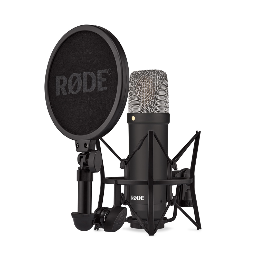 RODE(ロード) NT2-A コンデンサーマイク(NT2A): オーディオ用品 銀一 