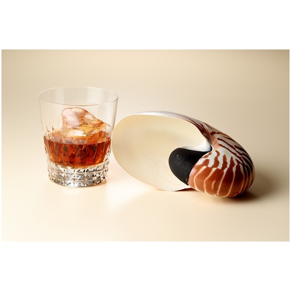 AICA(アイカ) メラミンボード 3x6判(900x1800mm) K-6508KN