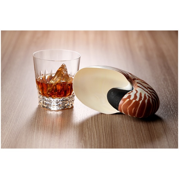 AICA(アイカ) メラミンボード 4x8判(1200x2400mm) TJ-509K