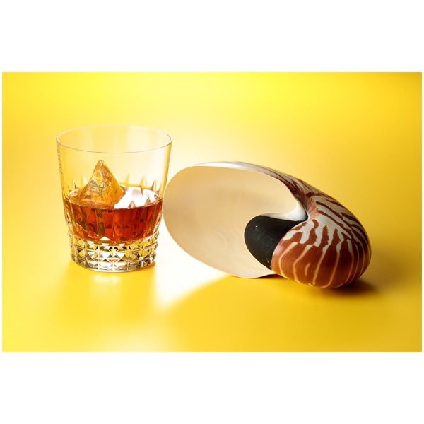 AICA(アイカ) メラミンボード 4x8判(1200x2400mm) K-6501KN