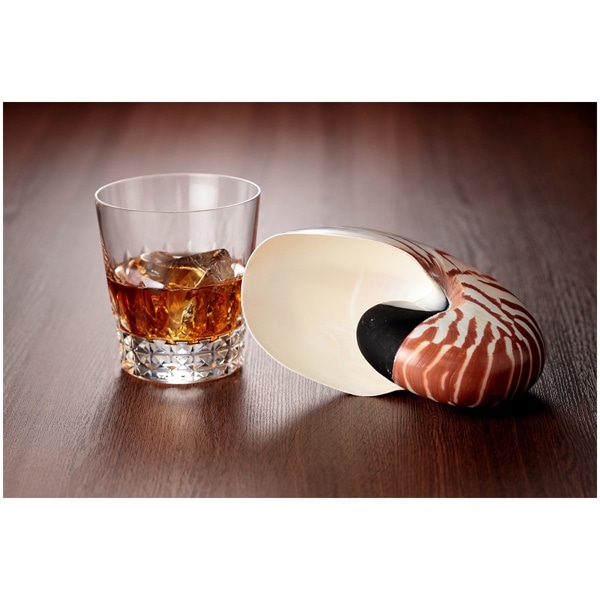 AICA(アイカ) メラミンボード 4x8判(1200x2400mm) TJ-2058K