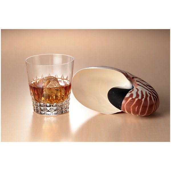 AICA(アイカ) メラミンボード 3x6判(900x1800mm) AY-1928KG