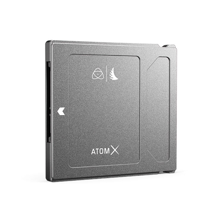 ANGELBIRD(エンジェルバード) ATOMX SSDmini 500GB ATOMXMINI500PK