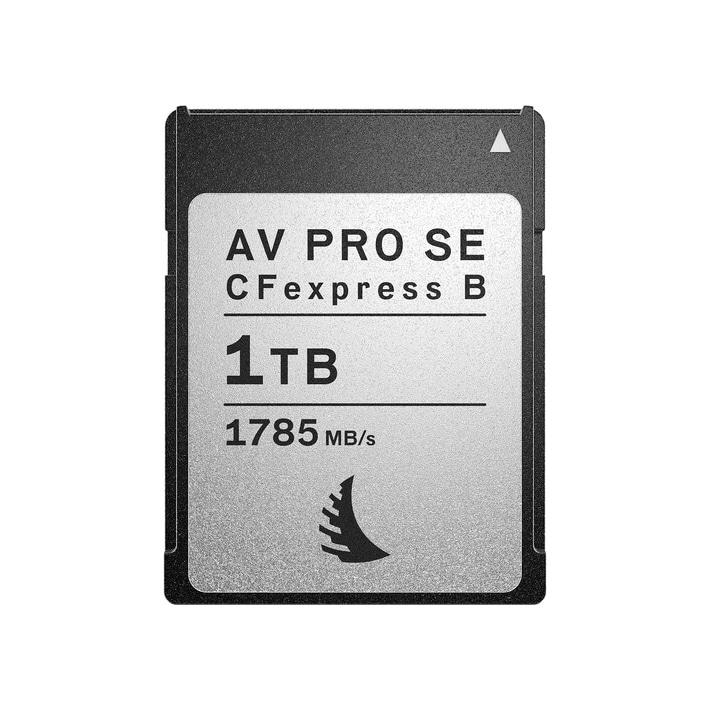 ANGELBIRD(エンジェルバード) AV PRO SD MK2 V60 64GB AVP064SDMK2V60