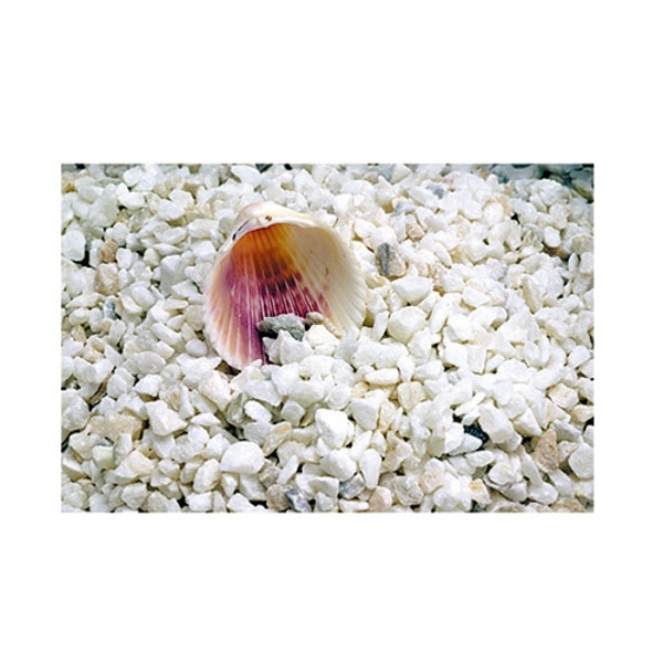 STUDIOSHOP(スタジオショップ) 寒水(カンスイ)3分