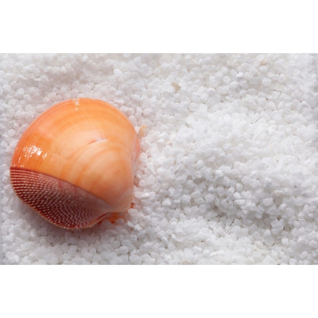 STUDIOSHOP(スタジオショップ) 寒水(カンスイ)7厘 1袋(20kg)