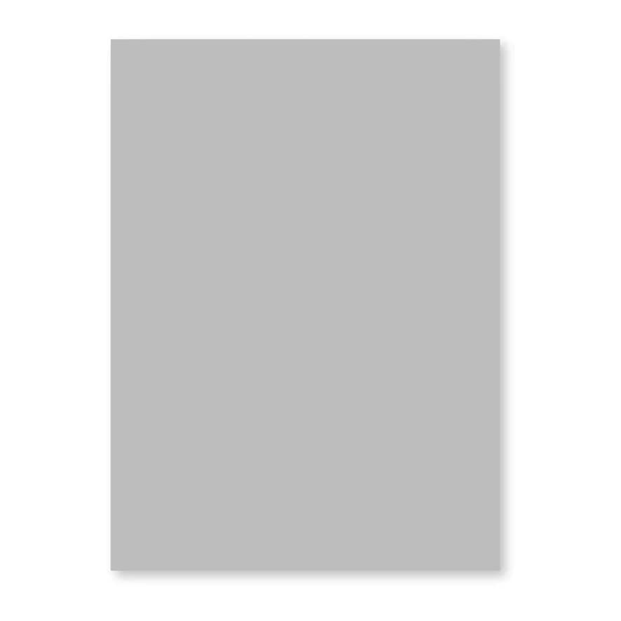 PinoStudio(ピノスタジオ) 撮影背景シート Pro Lサイズ(123x90cm) グレー PPSL2007