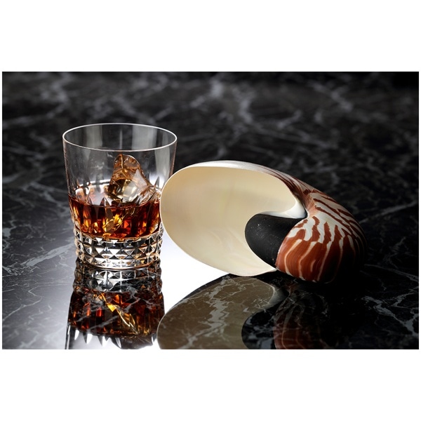 メラミンボード 4x8判(1200x2400mm) イビ VMX-3195G(ツヤあり)