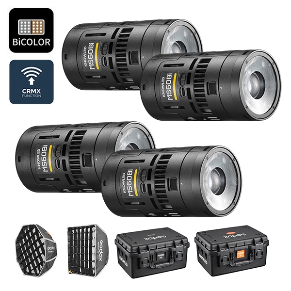GODOX(ゴドックス) MS60 Bi 4K バイカラー 4灯キット