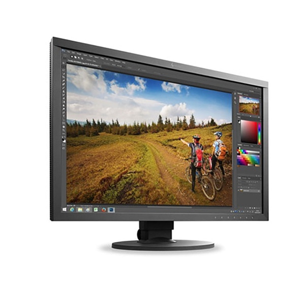 EIZO ColorEdge CS2410-BK カラーマネジメント液晶モニター