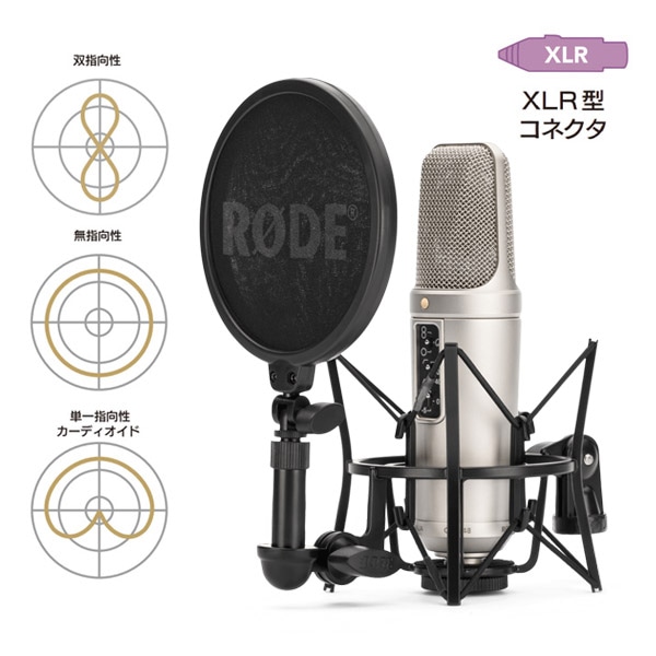 【30%/OUTLET】RODE(ロード) NT2-A / コンデンサーマイク / NT2A