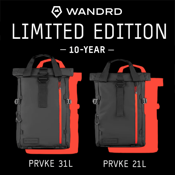 【GIN-ICHIオンラインショップ限定 】 ワンダード10周年記念 リミテッドエディション登場！