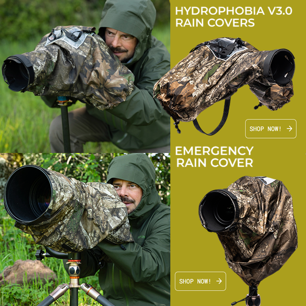 【thinkTANKphoto】レインカバー「ハイドロフォビア」＆「エマージェンシーレインカバー」にリアルツリーAPXが登場